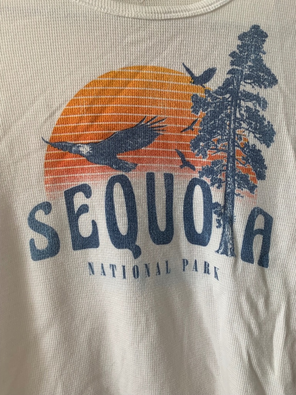 Sequoia National Park Long Sleeve Tee, Sz XL